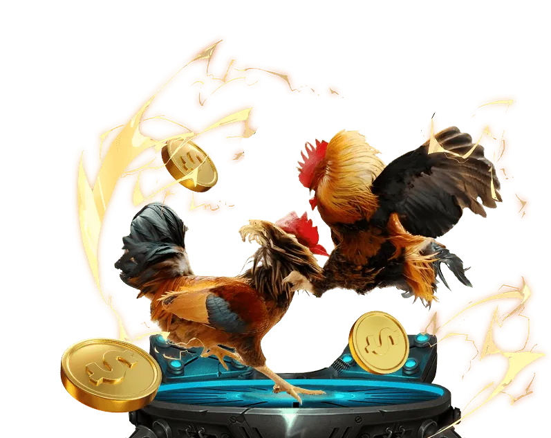 Hỗ trợ khách hàng zbet casino